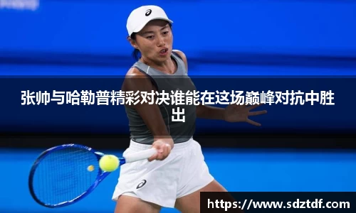 张帅与哈勒普精彩对决谁能在这场巅峰对抗中胜出